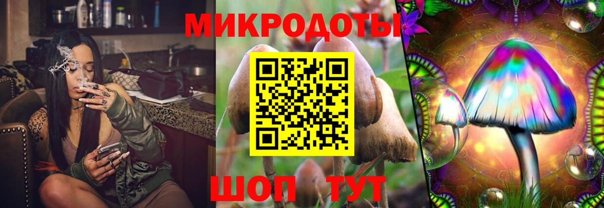 Кувандык  Псилоцибиновые грибы прущие грибы  что такое   Галлюциногенные грибы MAGIC MUSHROOMS  Вход с VPN 